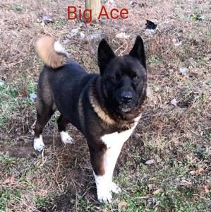 Meet your Posher, Marcus